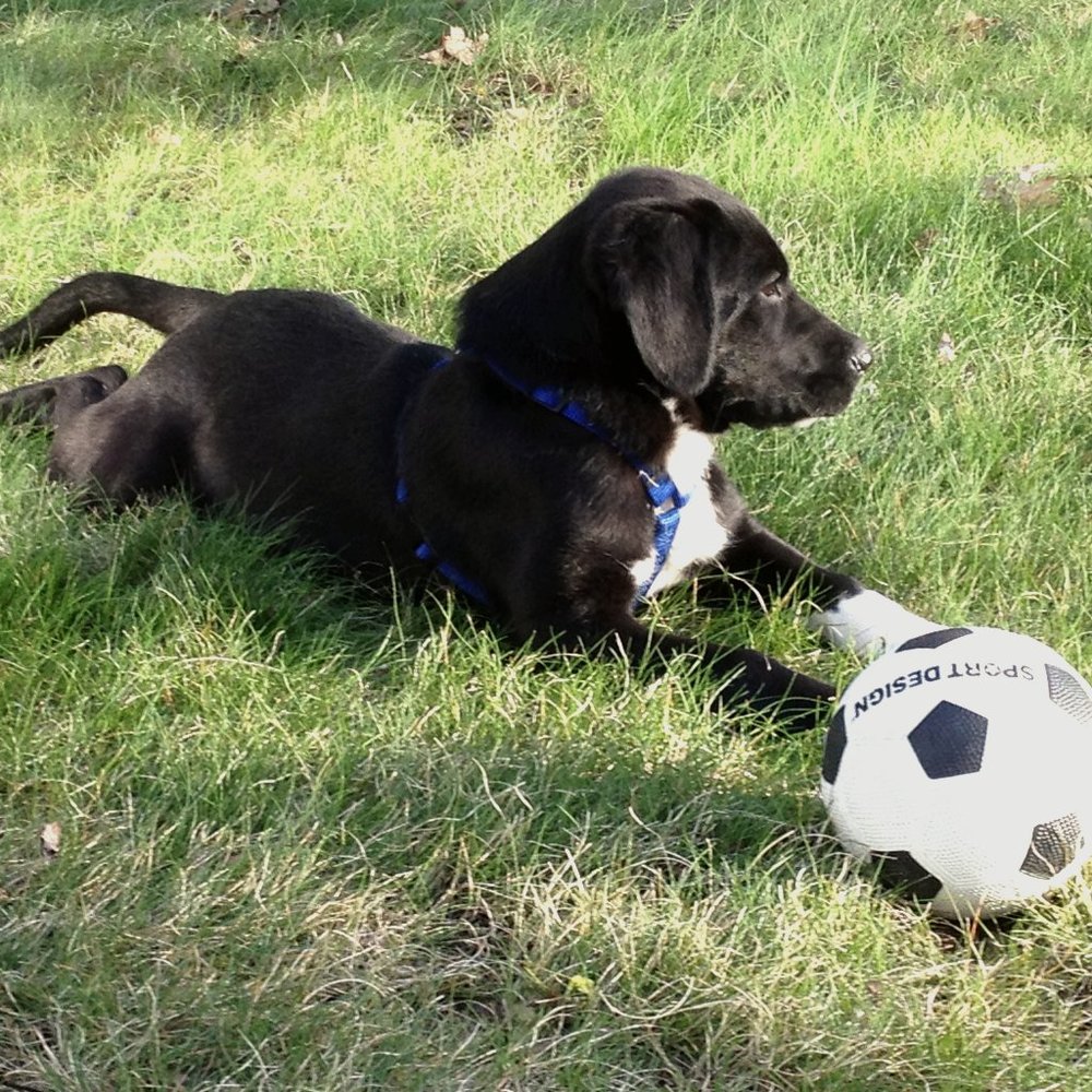 Meet your Posher, Tim & Cathy
